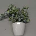 BACAMA Decorative Hanging Plants for Shelf, Faux Ivy Eucalyptus Vine, Fake Greenery in White Bigger Pot (Light Green)