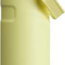 Stanley IceFlow Fast Flow Water Bottle | Angled Spout Lid | Lightweight & Leakproof for Travel & Sports | Insulated Stainless Steel | BPA-Free