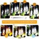 Mlambert 3 Color Outdoor LED Dimmable String Lights for Patio with Remote, Plug in 48FT Waterproof Shatterproof LED Bulb Light for Cafe-White Cord