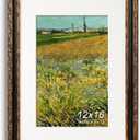 12x16 Picture Frame, Ornate Embossing Frame with Paper Mat and Plexiglass, Fit for 12x16 without Mat or 8x12 with Mat, Wall Mounting Display for Art Prints, Bronze and Antique Gold, 1 Pack