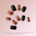 2 x Elegant Amber & Black Gel Press On Nails - Medium Square Press On Nails for Office - 24 Pcs, 12 Sizes - Fake Nails - No Glue Needed - Glossy & Durable - Lasting Up to 2 Weeks