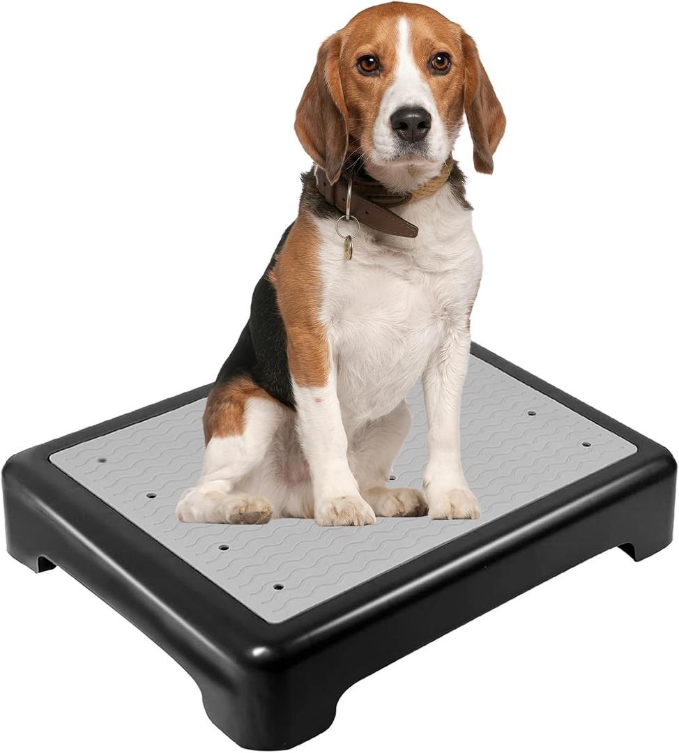 Dog Training Place Board with Non-Skid Surface, Dog Platform for Training, Portable Dog Agility PlatformDog Training Stand, Dog Training Equipment Suitable for Small Dogs
