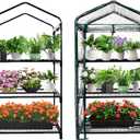 GreenGiggle 3 Tier Mini Indoor Outdoor Greenhouse,27"x19"x49" GreenHouses with Clear PVC Cover and Roll-Up Zipper Door,Plastic Green House for Indoors Grow Tent&Garden greenhouses for Outdoors
