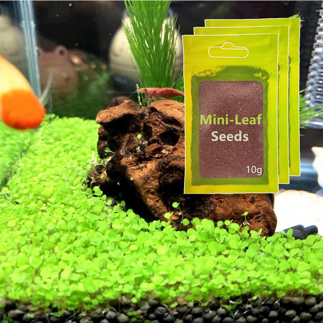 3 Pack Aquarium Plant s-e-e-d. Mini-Leaf 30gram. not Plastic Carpet Decor Decoration not Artificial YZ-AAA04