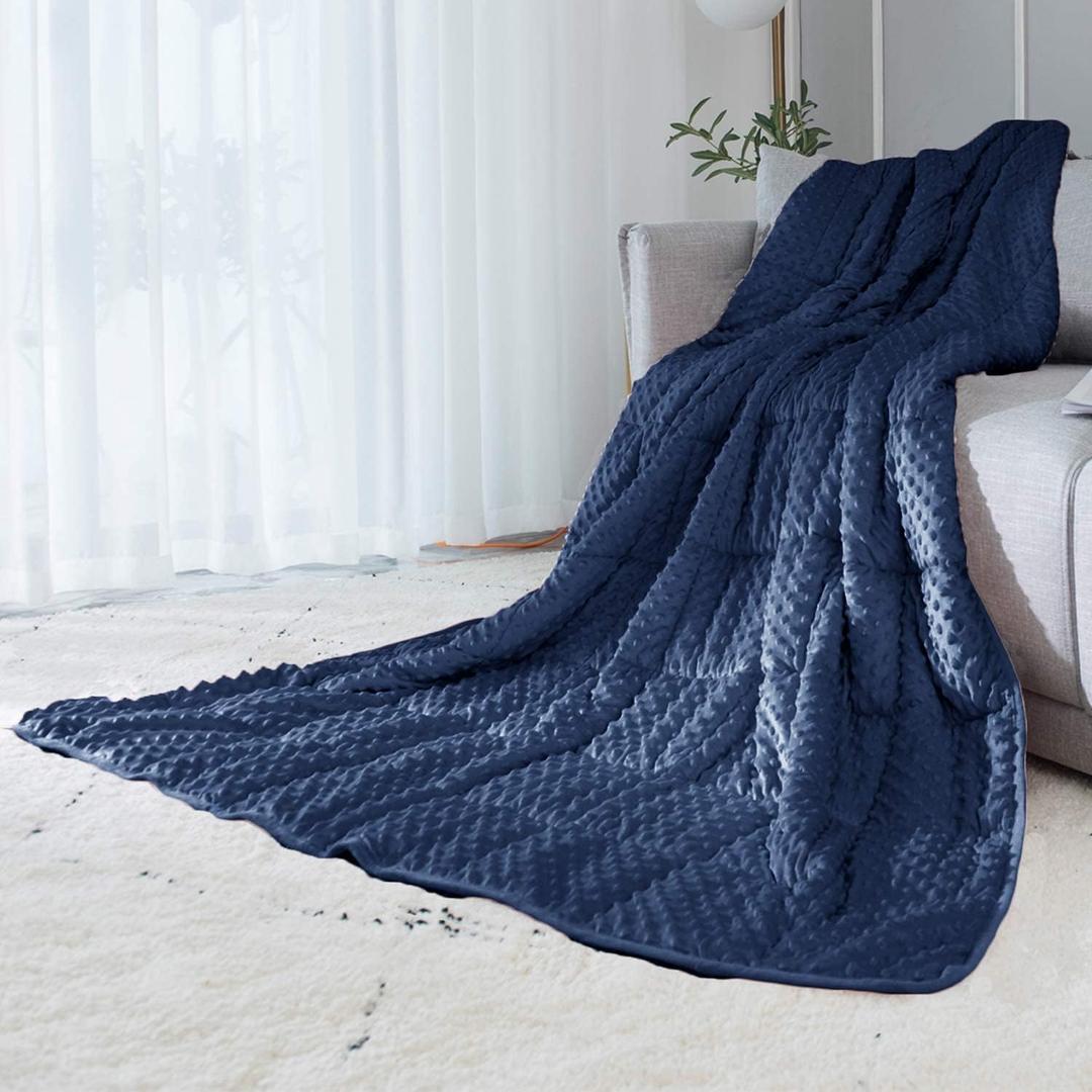ALANSMA Reversible Weighted Blanket for All Season, Luxury Velvet, Warm and Cool, Adult 20Lb Blue Weighted Blanket, Enjoy Sleeping Anywhere (Blue,60"x80" 20lbs)