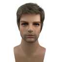 Aimole Mens Wigs Short Straight Hair Brown mix Sliver Natural Synthetic Full Wig (#38)