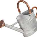 1 Gallon Metal Watering Can with Removable Spout, Nice Galvanized Steel Water Can with Embossed Design for Indoor and Outdoor Plants (Silver)