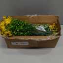 Artificial Flowers Fake Plants for Outdoors Spring Decoration, 13Bundles Silk Realistic UV Resistant Faux Flowers for Outside Planter Porch Yard Patio Garden Home Indoor, Yellow