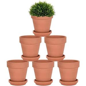 Riseuvo 5 Inch Terra Cotta Pots with Saucer - 6 Pack Clay Flower Pots with Drainage, Great for Plants, Crafts, Wedding Favor (5 inch)
