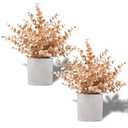 Coferset 2 Pack Gold Eucalyptus Small Fake Plants Potted Artificial Plants for Christmas Decorations Shelf Desk Home Farmhouse Room Coffee Table Bathroom Decor