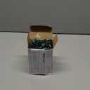 PREXTEX 100 Count Clear Christmas Lights - 20 ft Ultra Bright String Lights with Green Wire for Indoor and Outdoor Use, Christmas Trees, Holidays, Patios and Garden