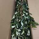 Olive Trees Artificial Indoor,Fake Olive Tree 6FT Tall 1Pack with White Planter Faux Silk Olive Tree for Home Living Room Office Decor Faux Artificial Plants Indoor with Fruit & Free Moss
