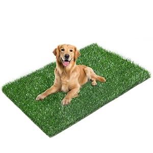 LOOBANI 43.7in x 27.6in Replacement Artificial Grass for Dog Potty Training