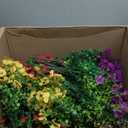 HyeFlora Artificial Faux Hanging Plants Flowers Basket for Summer Outdoor Outside Decoration, Fake Silk UV Sun Resistant Look Real Colorful Daisy Eucalyptus for Porch Home Patio Balcony Yard (Mix)