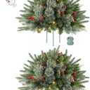 2 Pack 24 Inch Lighted Outdoor Christmas Tree with Dual Color LED Lights, Remote Control Battery Operated Pre-lit Pathway Urn Filler, Christmas Porch Decorations for Home, Porch & Yard (Green)
