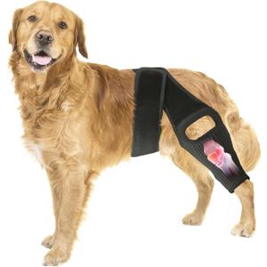 Knee Brace for Dogs for Torn ACL/CCL & Hind Leg Support, for Knee Cap Dislocation, Arthritis - Keeps The Joint Warm and Stable - Extra Support - Reduces Pain and Inflammation (M)
