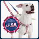 2 Hounds Design Freedom No Pull Dog Harness, Adjustable Harness and Leash Set, Easy Walking & Comfortable Control, Fits Small, Medium & Large Dogs, Solid Colors, Made in USA, 1" MD, Raspberry