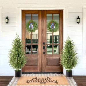 Christmas Decorations - Outdoor Christmas Tree - 2 Pack 3FT Artificial Norfolk Pine Tree - Xmas Decor for Home Indoor Outdoor Entryway Party Living Room Office Porch