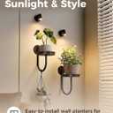 Leaf&lull Hanging Planters for Indoor Plants with Lights Wall Planter Holder Plant Stand Wall Hanging Decor 2 Pack Black