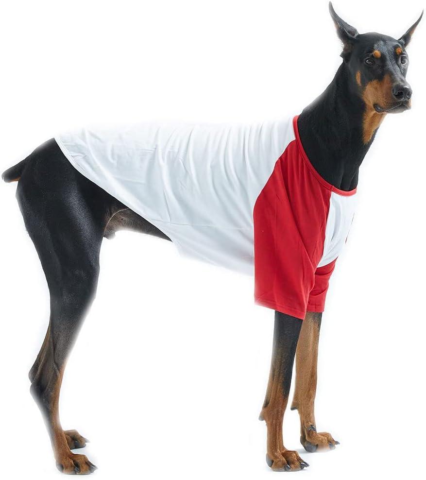 Dog Cotton Shirts for Small and Large Dogs Raglan T-Shirts Soft Breathable Dog Shirt pet Clothes (5X-Large, White/Red)