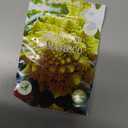 Seeds Vegetable Broccoli Cabbage Romanesco - 300 Seeds