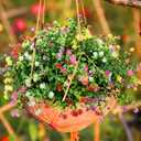 20 Bundles Outdoor UV Resistant Faux Flower Summer DecorArtificial Flowers Fake Outdoor Plants for Garden, Patio, Porch, Home Dcor (5 Colors)