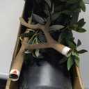 Artificial Olive Tree for Living Room Decor, 6FT Bendable Fake Plants Artificial Indoor, Faux Silk Plant Fake Trees in Potted with Oliver Branch Leaves and Fruits for Modern Home House Office Dcor