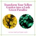 Grow More 0.2-0-0 EDDHA Iron Chelate for Greener Plants on Soils with pH of 7 or Above - 1lb of Water Soluble Chelated 6% Iron for Plants