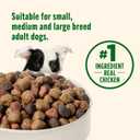 Nutrish Dry Dog Food, Real Chicken & Veggies Recipe Whole Health Blend, 6 lb. Bag (Rachael Ray) (6 Pound (Pack of 1))