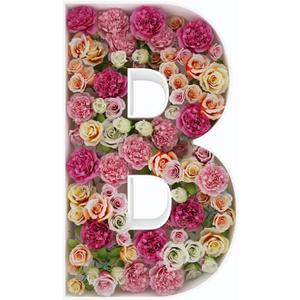 2FT Letter B Mosaic Balloon Frame Letter DIY Fillable Letters Kit for Birthday Party Wedding Backdrop Decor