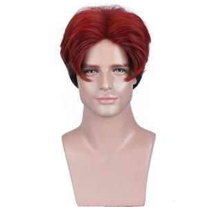 Black Red Wigs for Men Boy Short Ombre Black Red Wig Heat Resistant Synthetic Wigs for Cosplay Costume Party