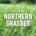 Roundup for Lawns Ready-to-Use with Extend Wand, Tough Weed Killer for Use on Northern Grasses, 1.33 gal.