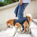 Dog Lift Harness Full Body Support & Recovery Sling Dog Lifter Vest Harness for Old, Joint Injuries, Arthritis, Disabled Dogs Walk (Small, Navy)