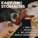 Bully Bunches Premium 12 Inch Standard Odor Free Bully Sticks for Small & Medium Dogs - Consistently Sized, Long Lasting Chews for Oral Care - All Natural Beef Dog Treats, (5 Pk)