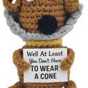 Well At Least You Dont Have to Wear a Cone  Funny Crochet Dog Get Well Gift  4.3" Handmade Plush  Post Surgery Recovery, Vasectomy Humor, Funny Retirement Gift