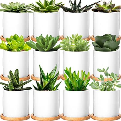 Cindeer 12 Pack Small Succulent Plants Pots 3 Inch Ceramic Flower Planter Pot and Bamboo Tray with Drainage Hole for Succulents Cactus Indoor Garden Decorations, Plant Not Included(White)