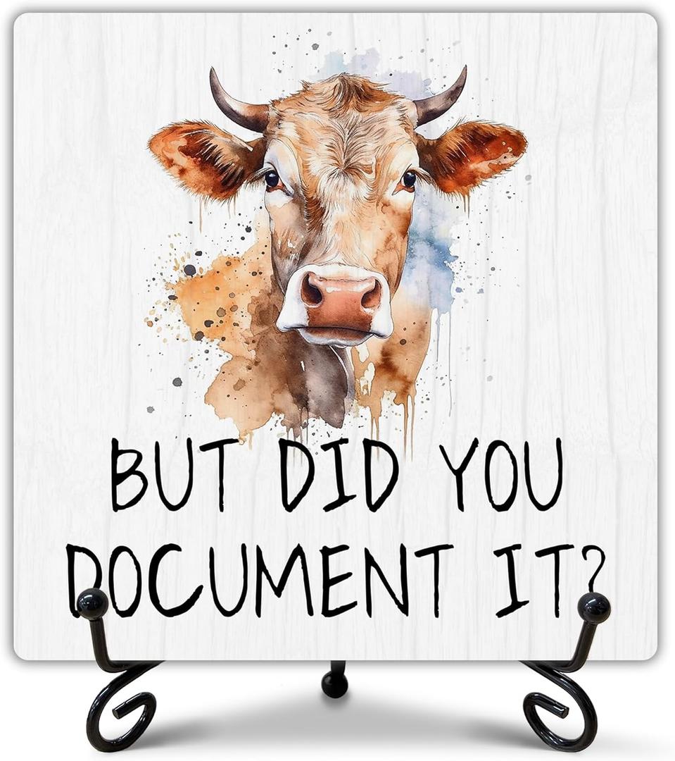2 x Funny Office Decor, But Did You Document It Sign with Stand, Cute Desk Decor, Inspirational Gifts for Women Men, Family Friends Colleagues, Funny Wooden Signs for Office Desk Accessories