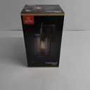 Xavier 1-Light Matte Black Hardwired Outdoor Indoor Wall Lantern Sconce with Seeded Glass Shade