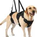 NOYAL Dog Lift Harness for Senior & Injured Pets  Full-Body Support Sling with Breathable Mesh, Front/Rear Leg Assist for Arthritis, Hip Dysplasia & Post-Surgery Recovery (Medium-Large Breeds) (Large, Black-1)