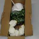 Hollyone Artificial Cyclamen Flowers Plant Potted Fake Silk Flower Plants in White Pot Faux White Cyclamen Flowers Arrangement Home Decor Office Bathroom Shelf Desk Decorations