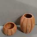 Qinyoung 2 Pack Halloween Terracotta Pumpkin Vase Fall Clay Pot