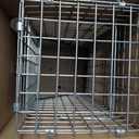 Havahart Easy-Set Catch and Release Small 1-Door Humane Live Animal Trap for Squirrels, Rabbits, Skunks, and Other Small Animals - 1083