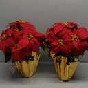 2 Pack Large Outdoor 18" Pre-Lit Christmas Decorations Flower LED Lighted Artificial Poinsettia Plants - Faux Poinsettia Flowers in Pot with Lights for Outdoor Use (Red,18inch)