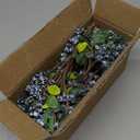 SHACOS Artificial Blue Berry Stems Pack of 20 Fake Blue Berries with Green Leaves 9.8 inch Fake Blueberries Picks for Spring Floral Bouquet Decorations Crafts Holiday Home Vase Decor Blueberry