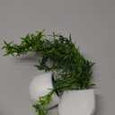 3D Green Plants Decorative Magnets for Fridge,Fridge Magnet Locker Magnets for Office Kitchen House,Refrigerator Magnets Refrigerator Magnets for Adults, Kitchen Accessories