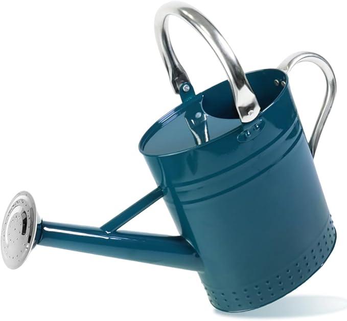 Megawodar 1 Gallon Metal Watering Can with Removable Spout, Nice Galvanized Steel Water Can with Embossed Design for Indoor and Outdoor Plants (Ocean Blue)