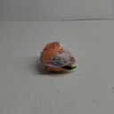 Pumpkin Autumn Boho Style 2 Pieces Rusty Red Decorative Cushion Cover for Sofa Living Room