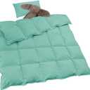zzlamb Warm Baby Quilt Crib Comforter Small Duvet Insert, Toddler Down Comforter Kids Crib Down Throw Blanket, Lightweight Soft Brushed Noiseless Shell Down Proof Machine Washable, Aqua 41x48in