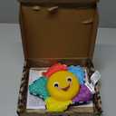 Baby Einstein Star Bright Symphony Plush Musical Take-Along Toy, Ages Newborn + (Pack of 1)
