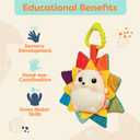B. toys Baby Musical Light Up Hedgehog Toy with Lights & Sounds Sensory Toy for Newborns, Babies Music & Glowing Lights RainGlow Buddy 0+ Months